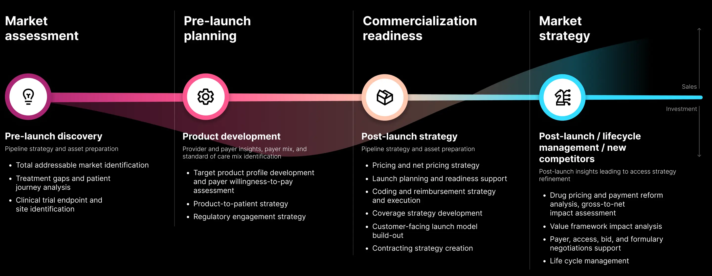 Market access strategic plan