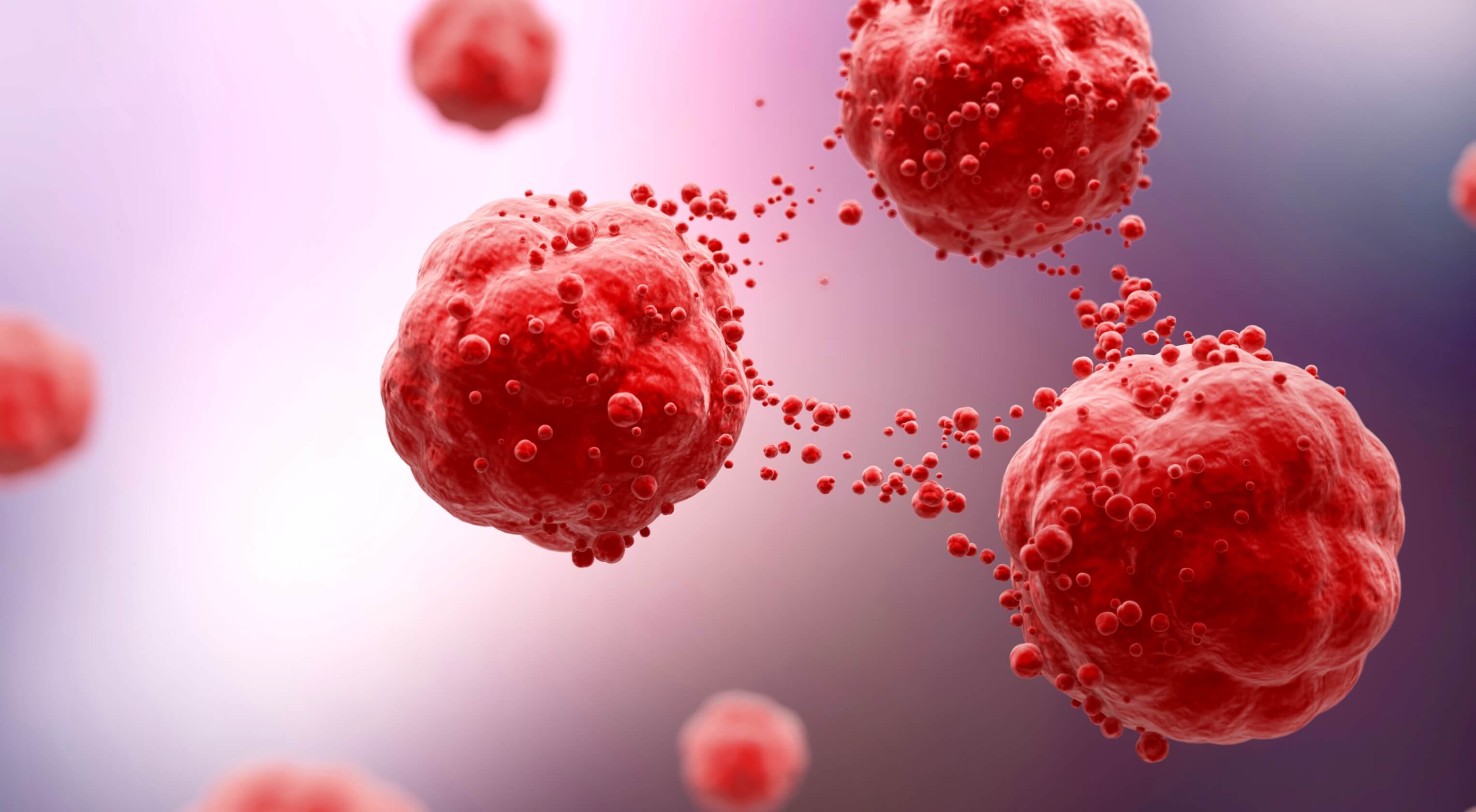 A close-up visualization of red blood cells seperating