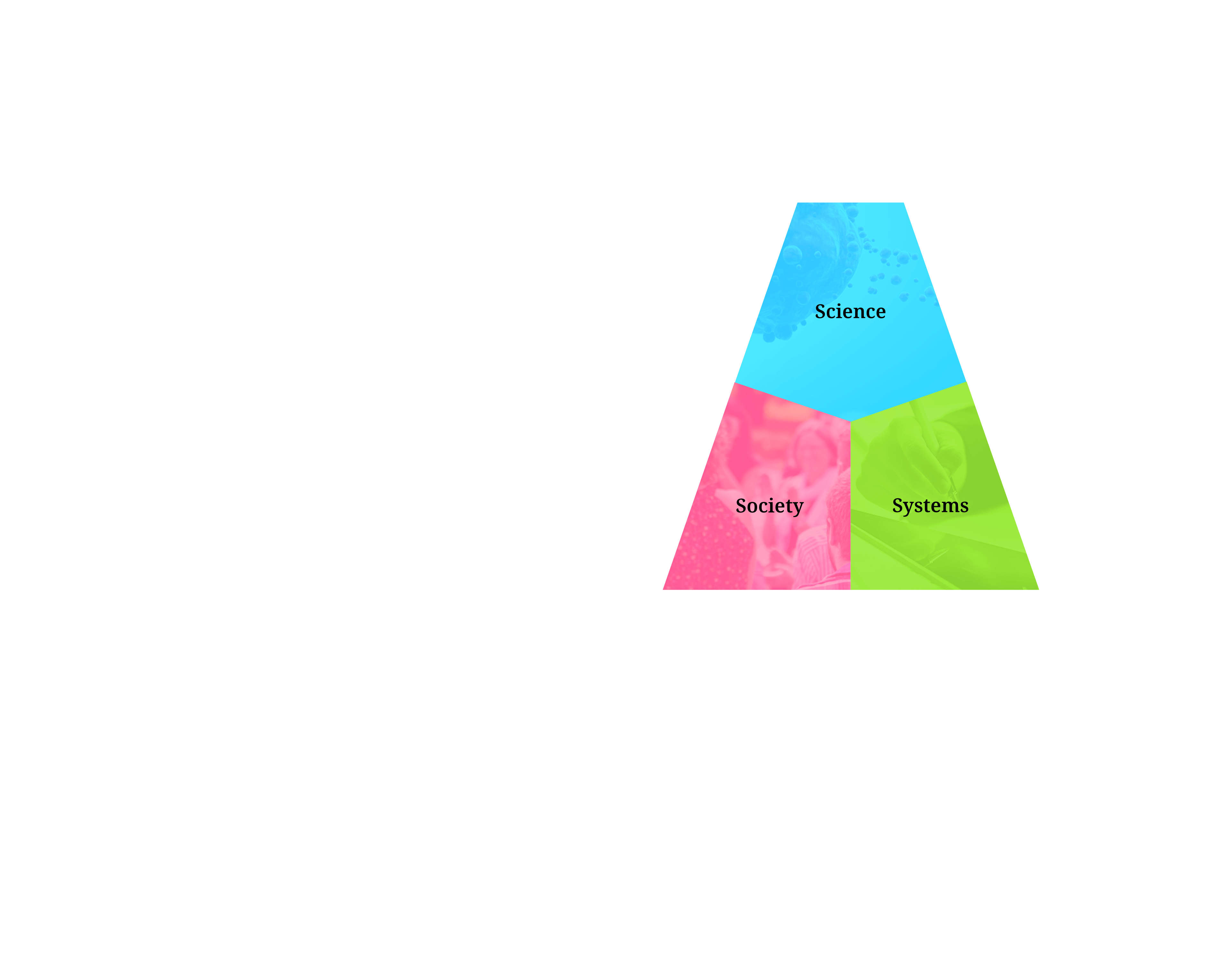 SenseMaking approach Triangle
